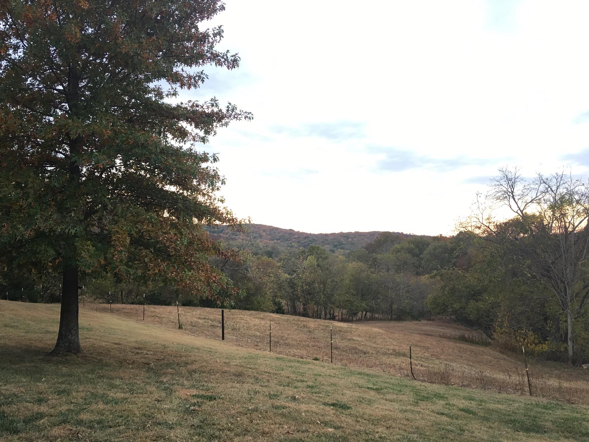 2907 Beech Log Road Watertown, TN 37184 - Photo 4 of 28