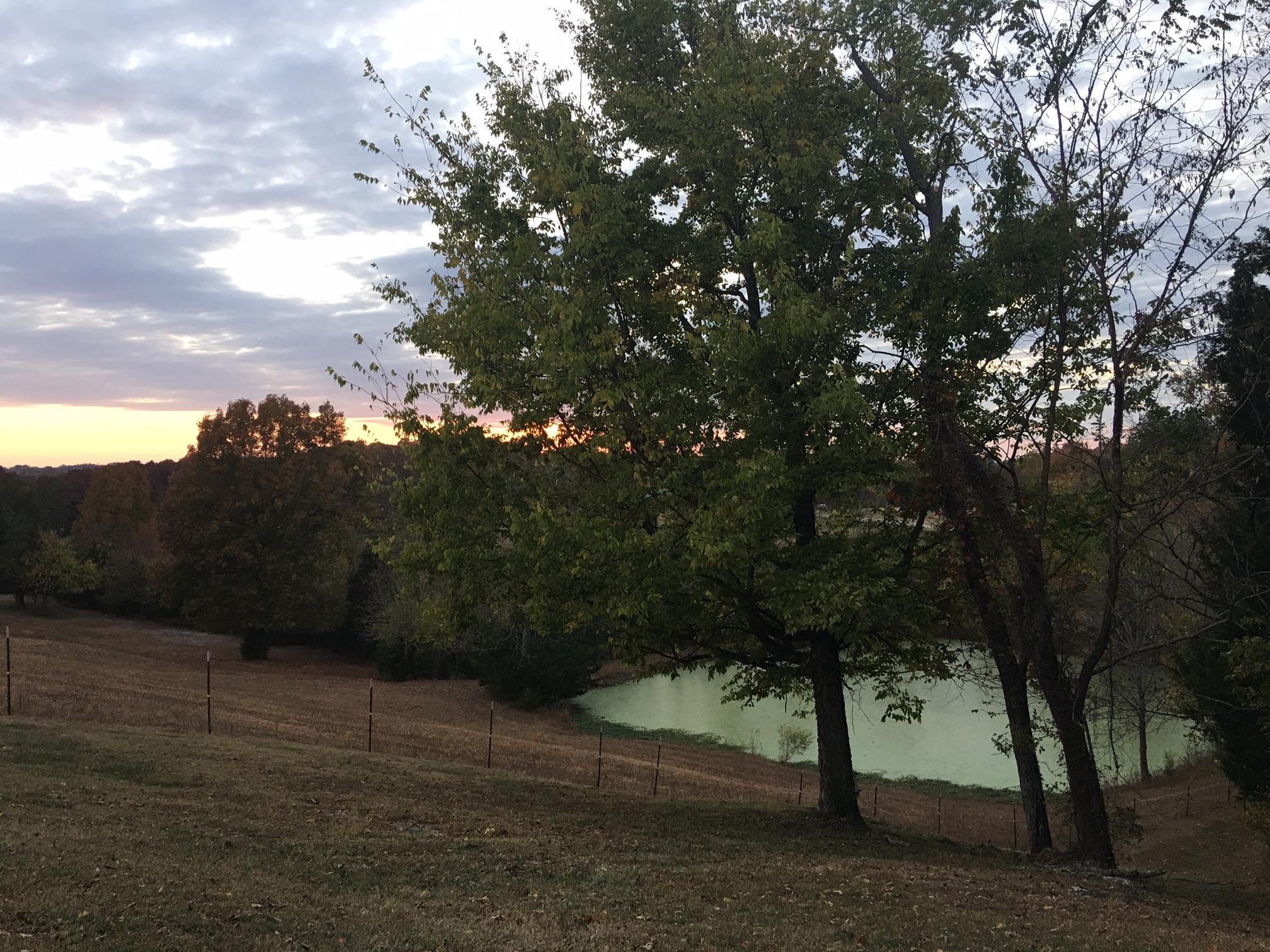 2907 Beech Log Road Watertown, TN 37184 - Photo 6 of 28 Pond