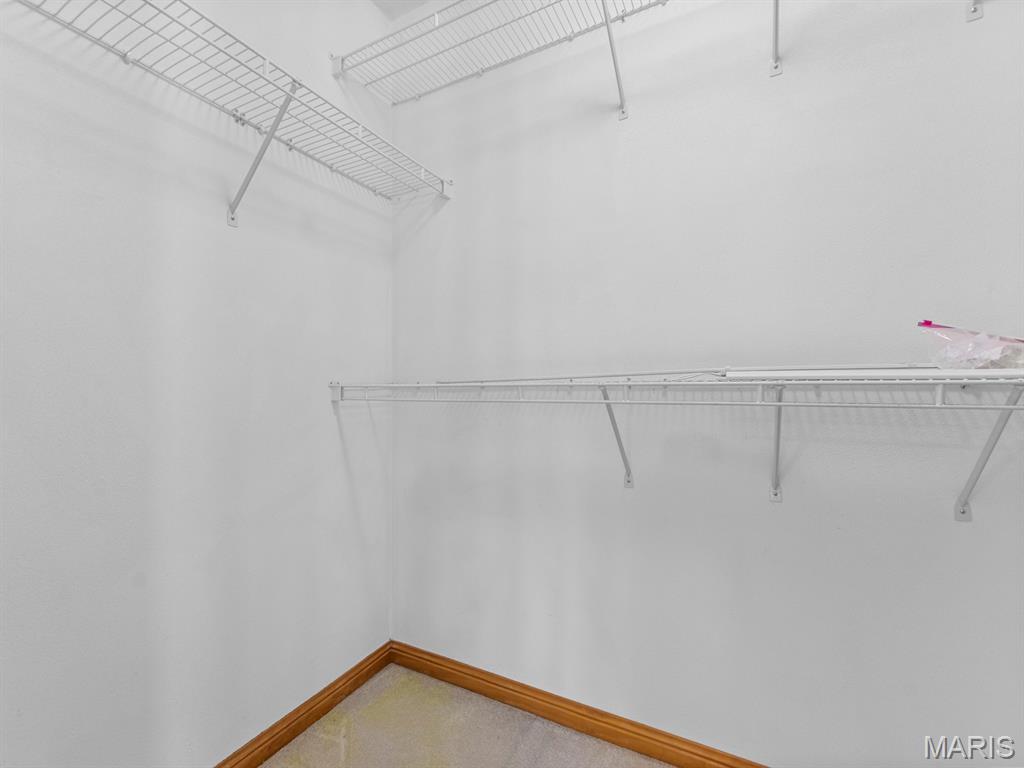 1219 Quail Ridge Court Belleville, IL 62221 - Photo 21 of 42