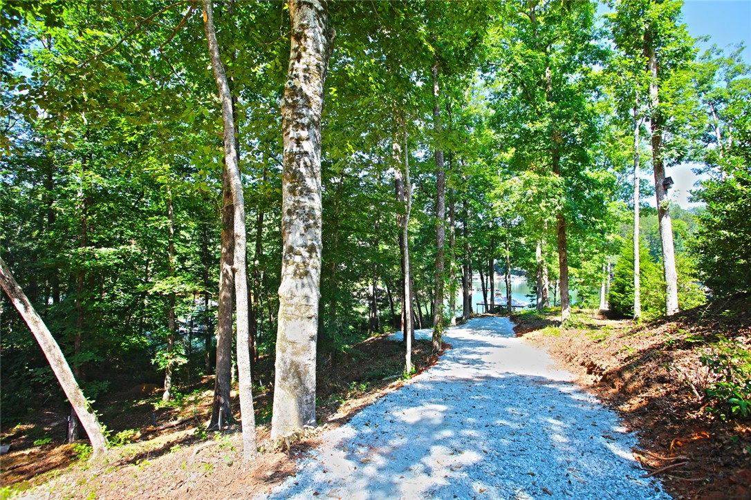1359 Hbr Rdg Road Seneca, SC 29672 - Photo 38 of 39 A tranquil path leads through dense woods to serene lakefront access.