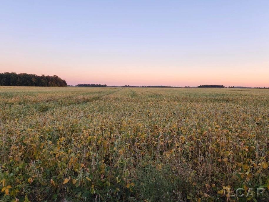 13815 Bierman Road Riga, MI 49276 - Photo 48 of 50