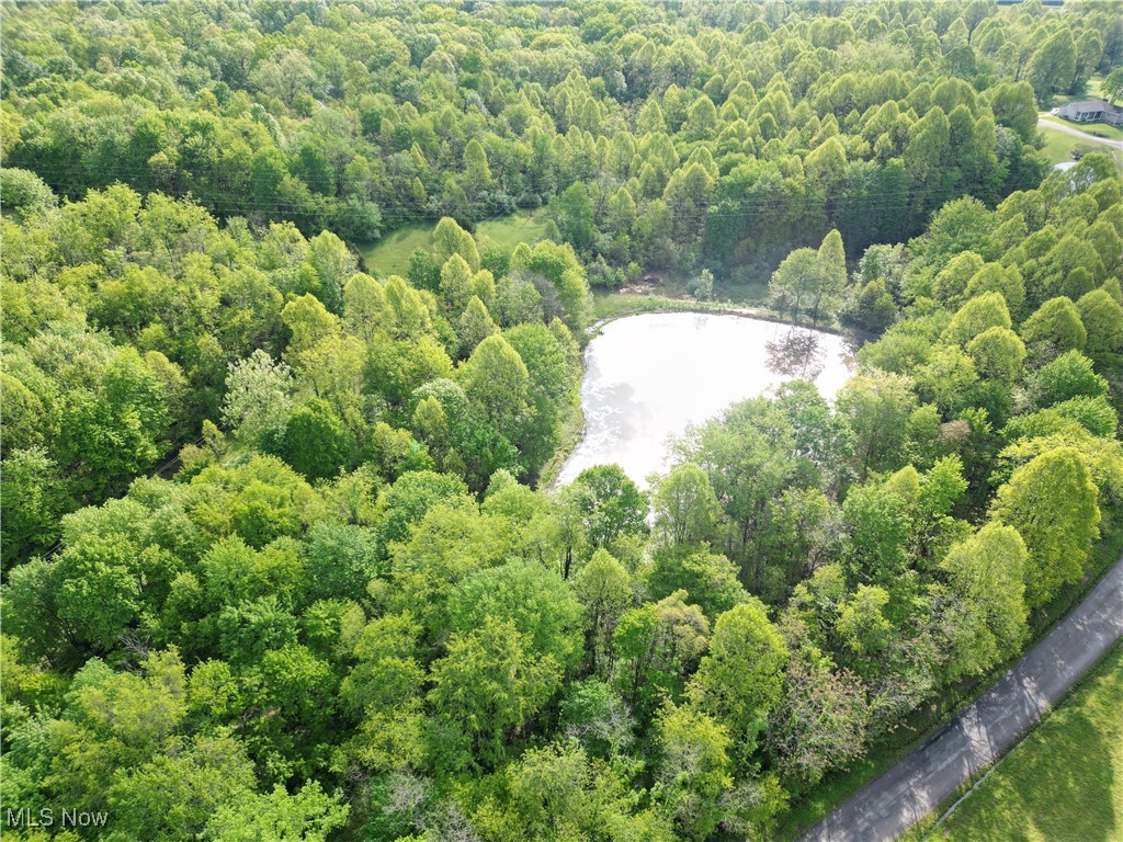 0 Layman Road Vincent, OH 45784 - Photo 6 of 28 Aerial view of the pond