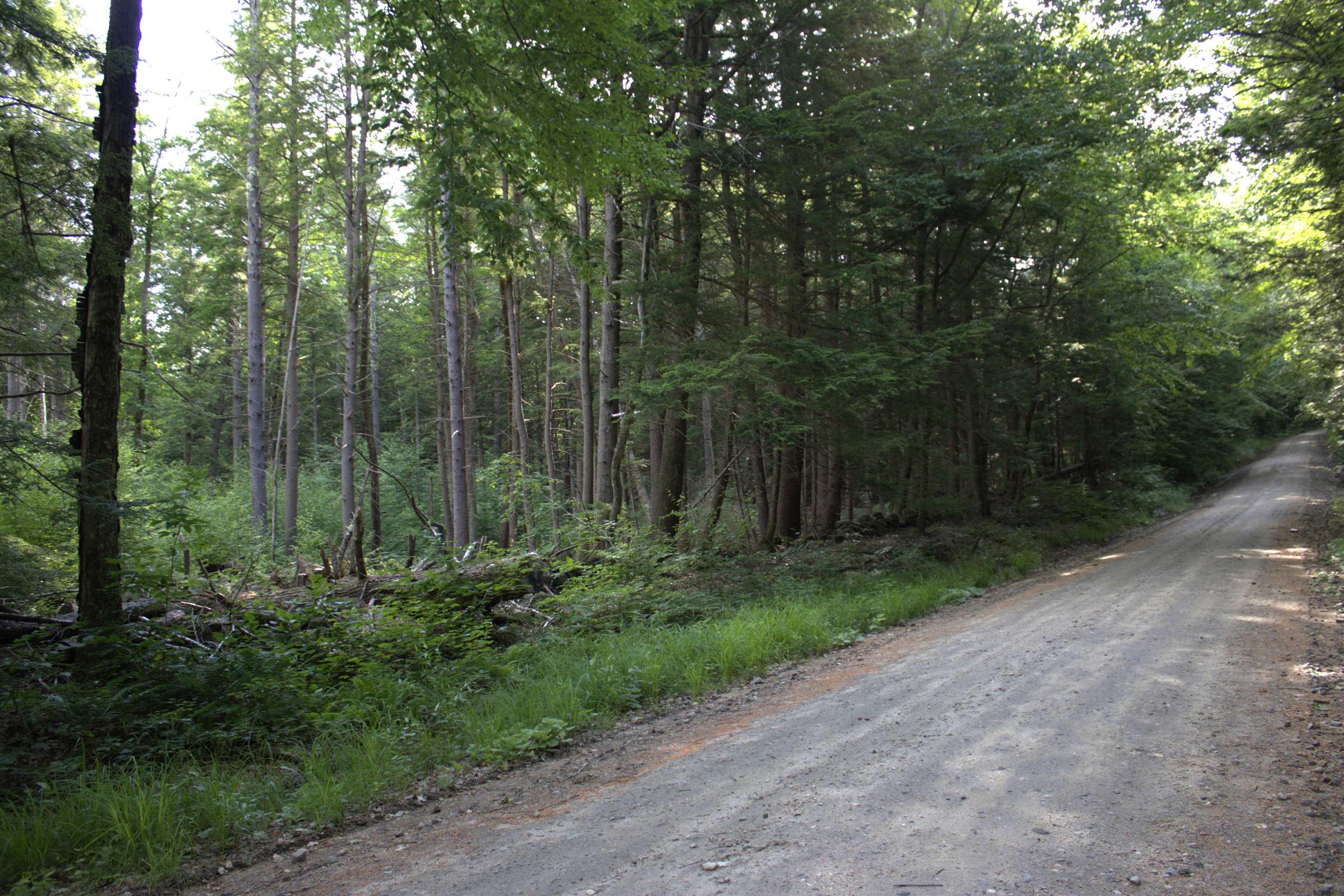 1 Old Turnpike Road Richmond, NH 03470 - Photo 3 of 9 Gallery Image 3
