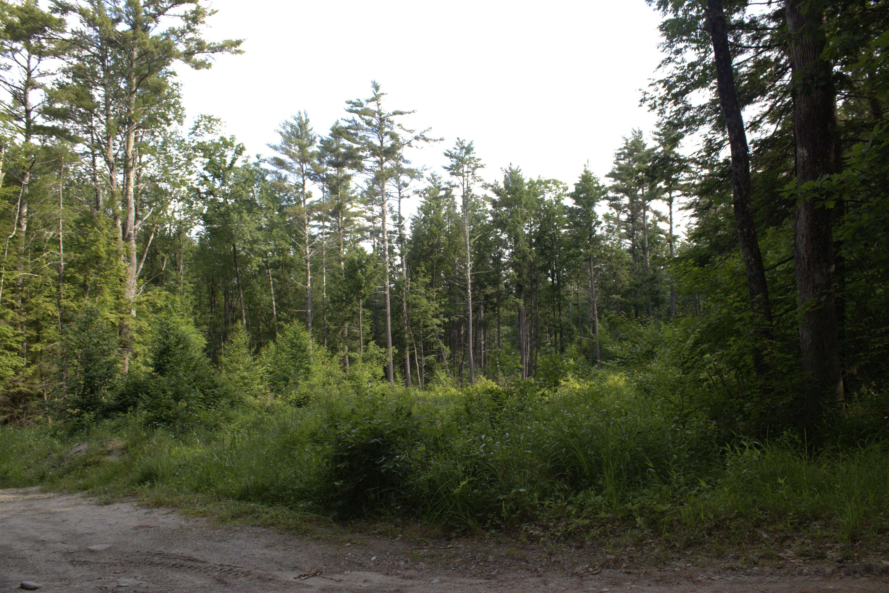 1 Old Turnpike Road Richmond, NH 03470 - Photo 4 of 9 Gallery Image 4