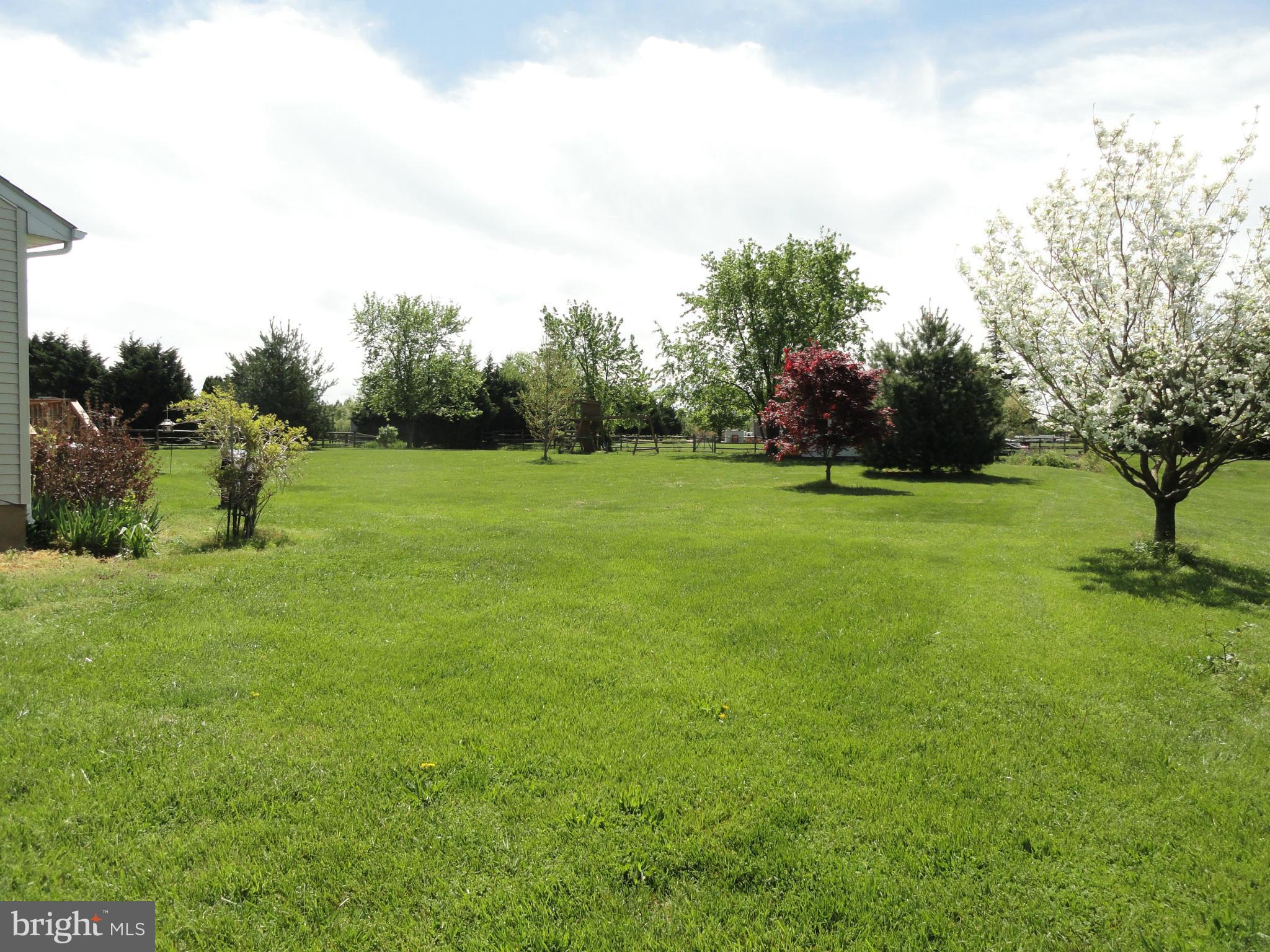 137 Sheaffer Road Chestertown, MD 21620 - Photo 4 of 5 a view of field with tall trees
