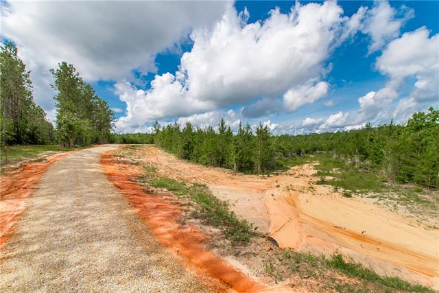 2 436th Highway Angie, LA 70426 - Photo 19 of 19