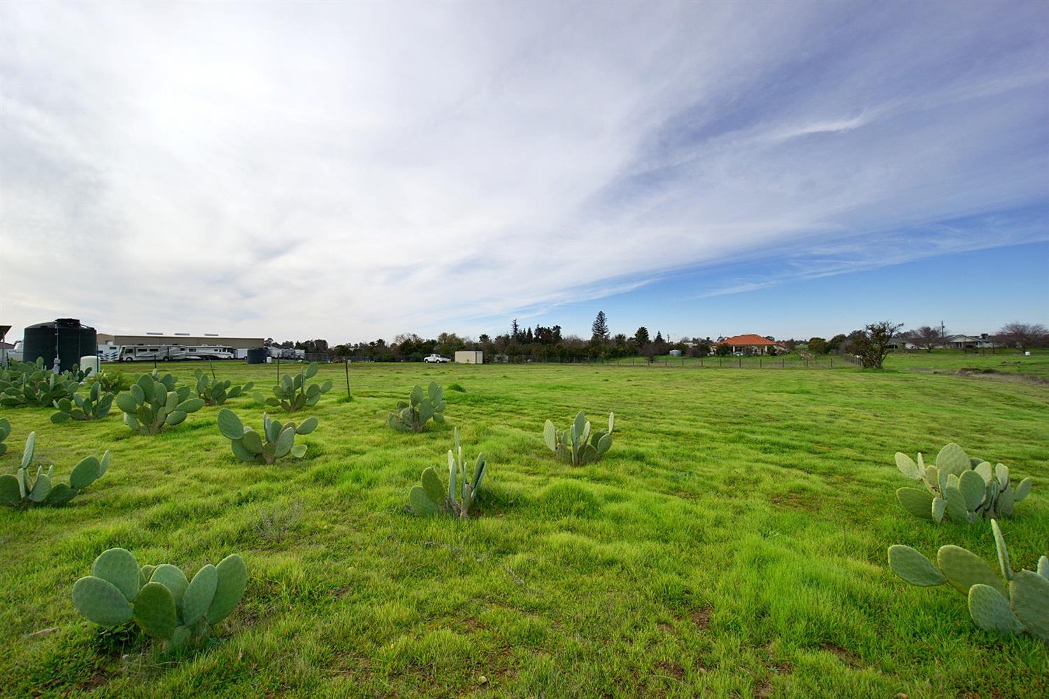 16254 Road 37 Madera, CA 93636 - Photo 36 of 36 a view of an ocean from a yard