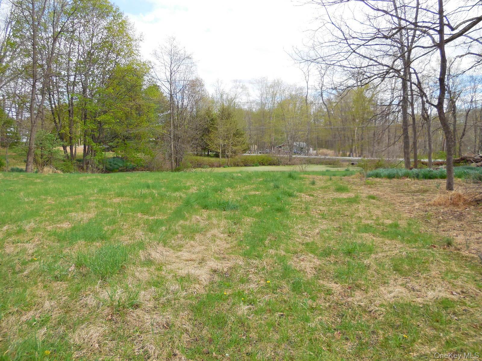 617 Burlingham Road Bloomingburg, NY 12721 - Photo 9 of 9 Side yard, Front pond, looking toward the road.