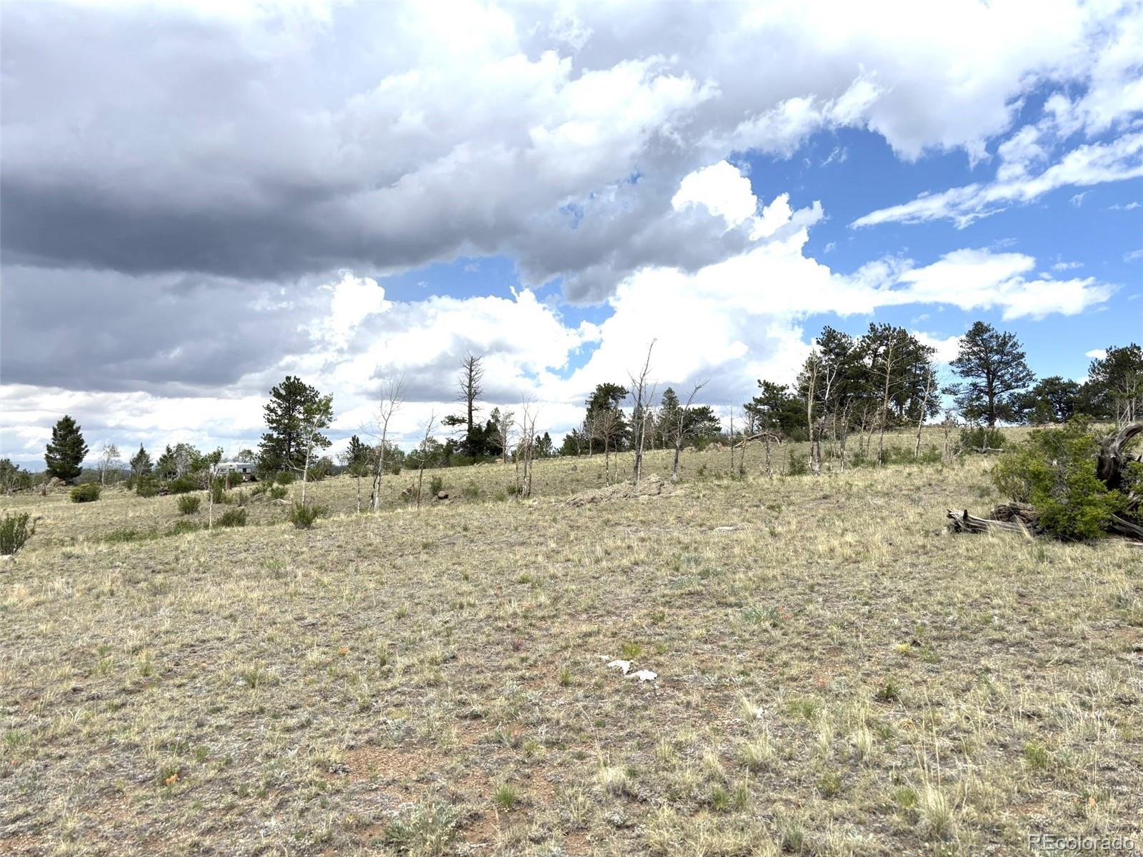 1750 Mahican Road Hartsel, CO 80449 - Photo 16 of 21 Gallery Image 16