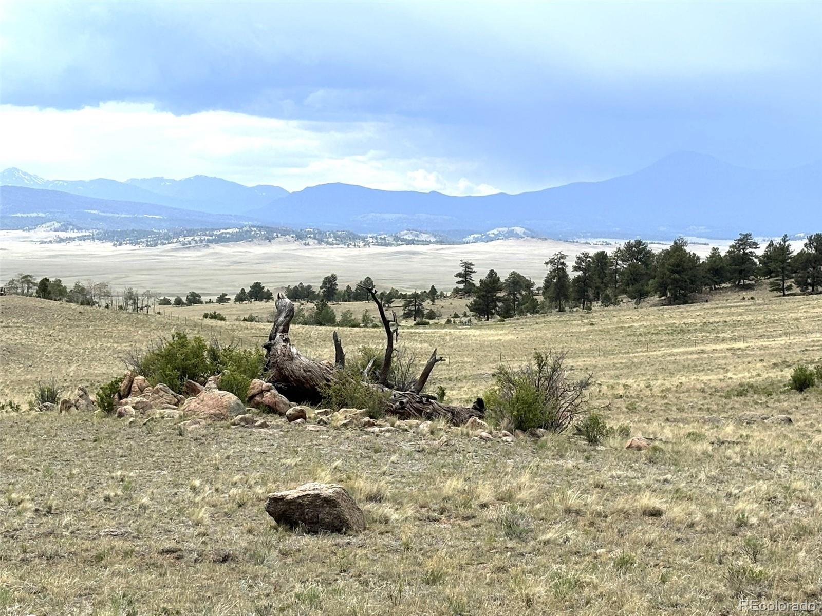 1750 Mahican Road Hartsel, CO 80449 - Photo 3 of 21 Gallery Image 3