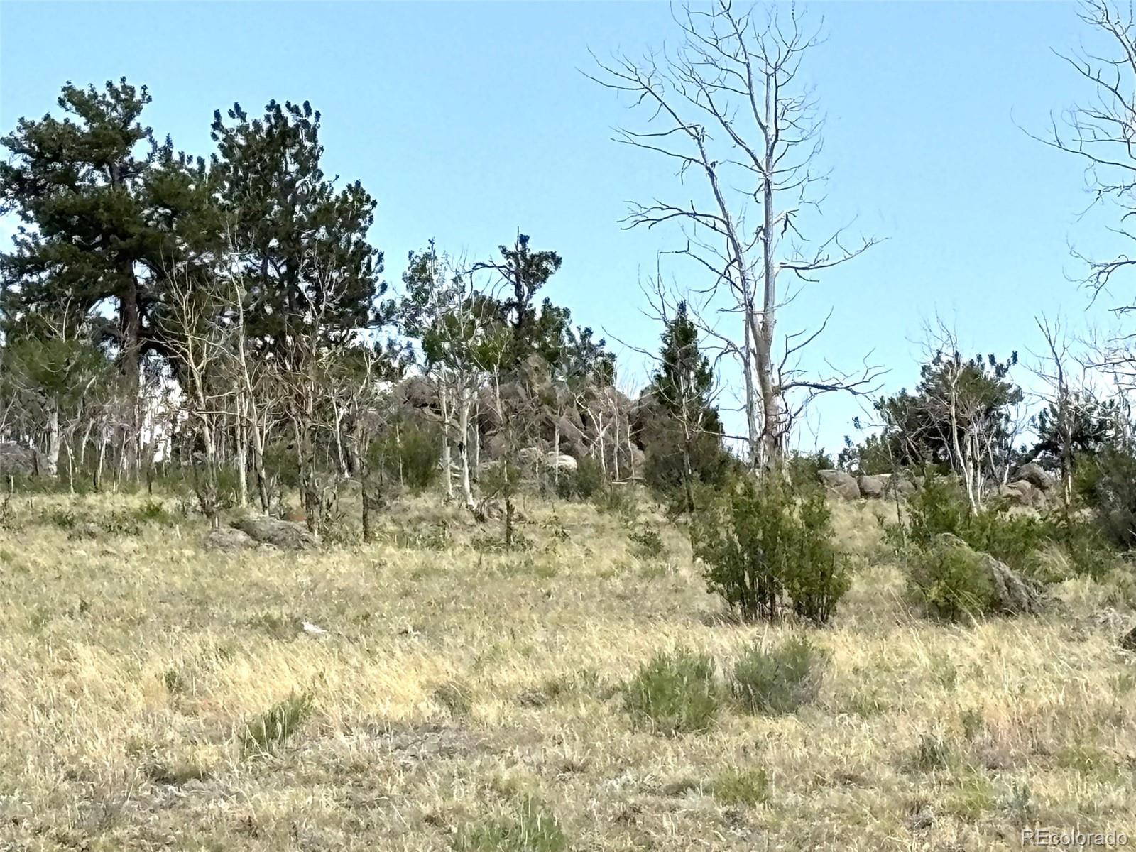 1750 Mahican Road Hartsel, CO 80449 - Photo 5 of 21 Gallery Image 5