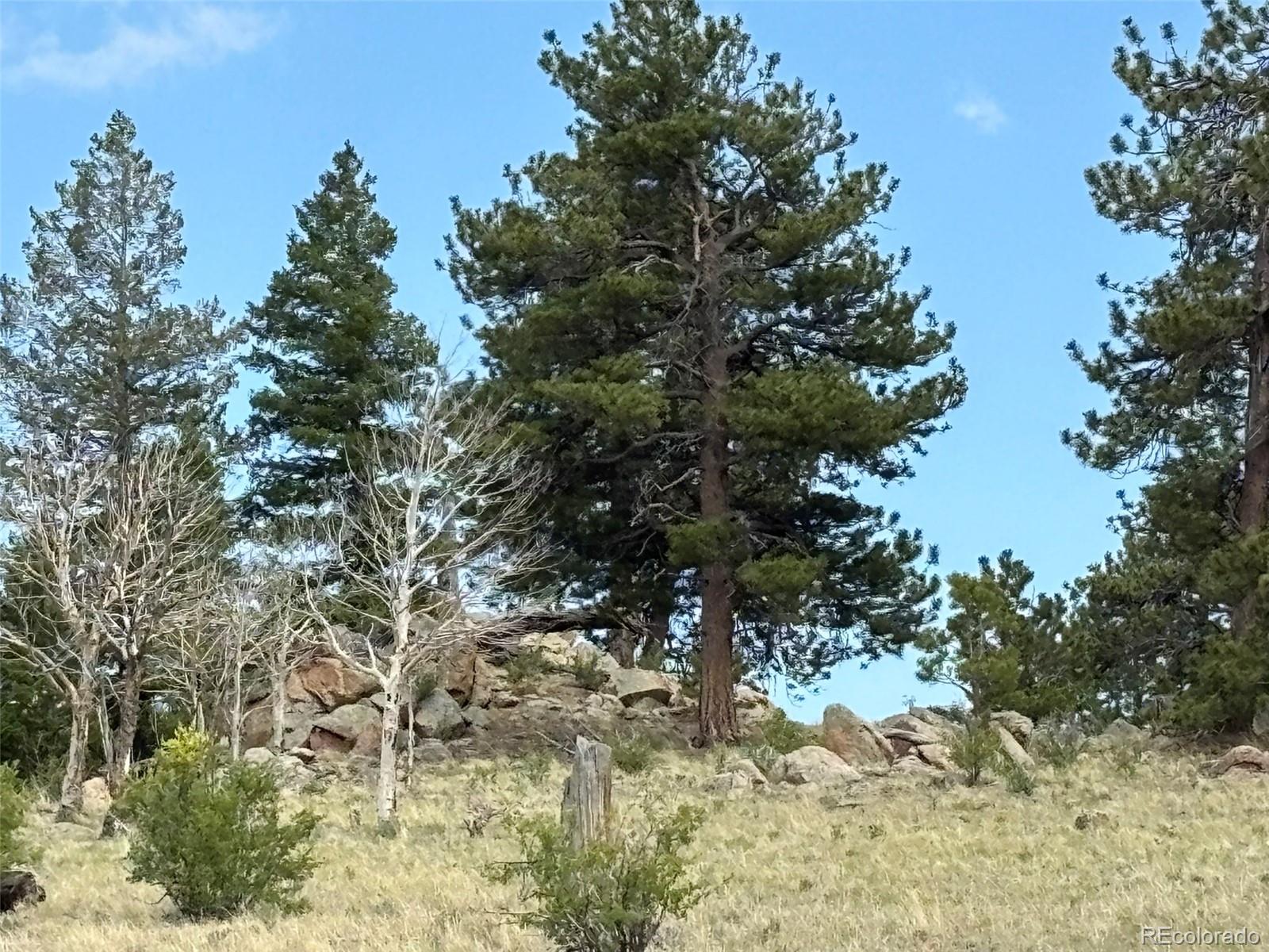 1750 Mahican Road Hartsel, CO 80449 - Photo 6 of 21 Gallery Image 6