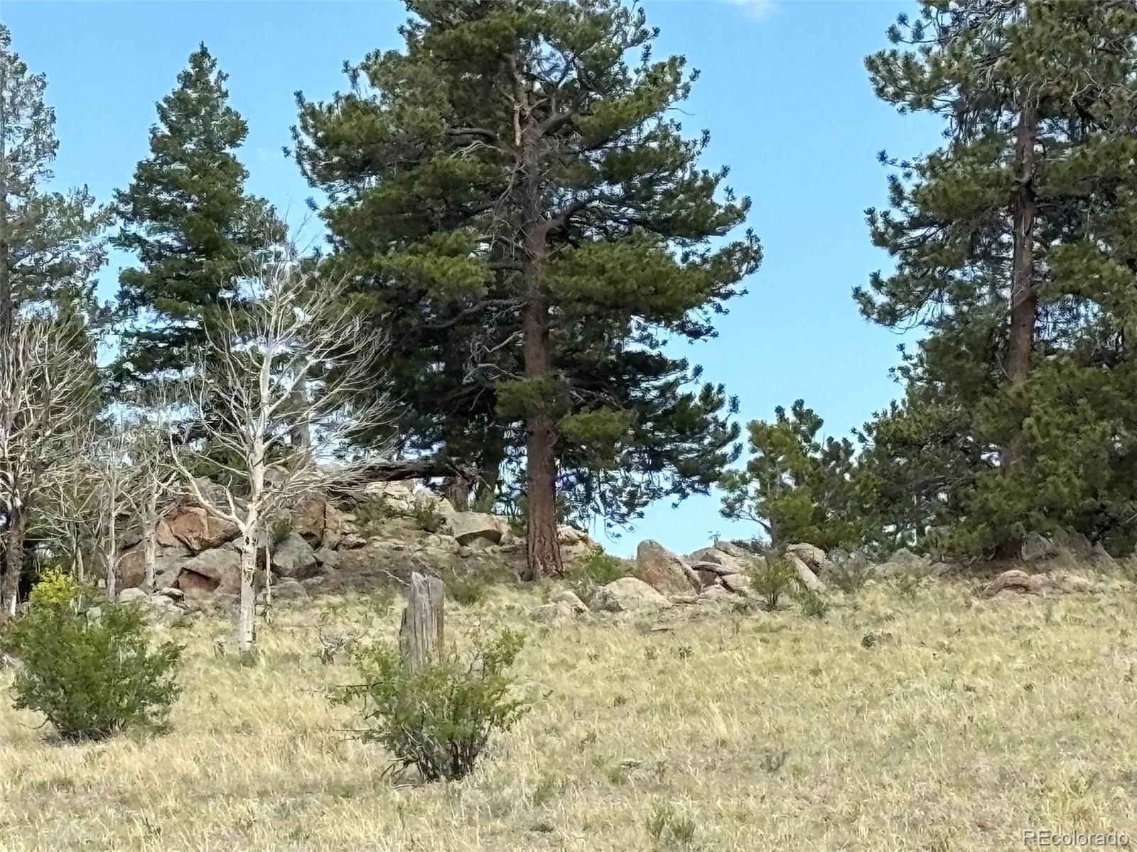 1750 Mahican Road Hartsel, CO 80449 - Photo 10 of 21 Gallery Image 10