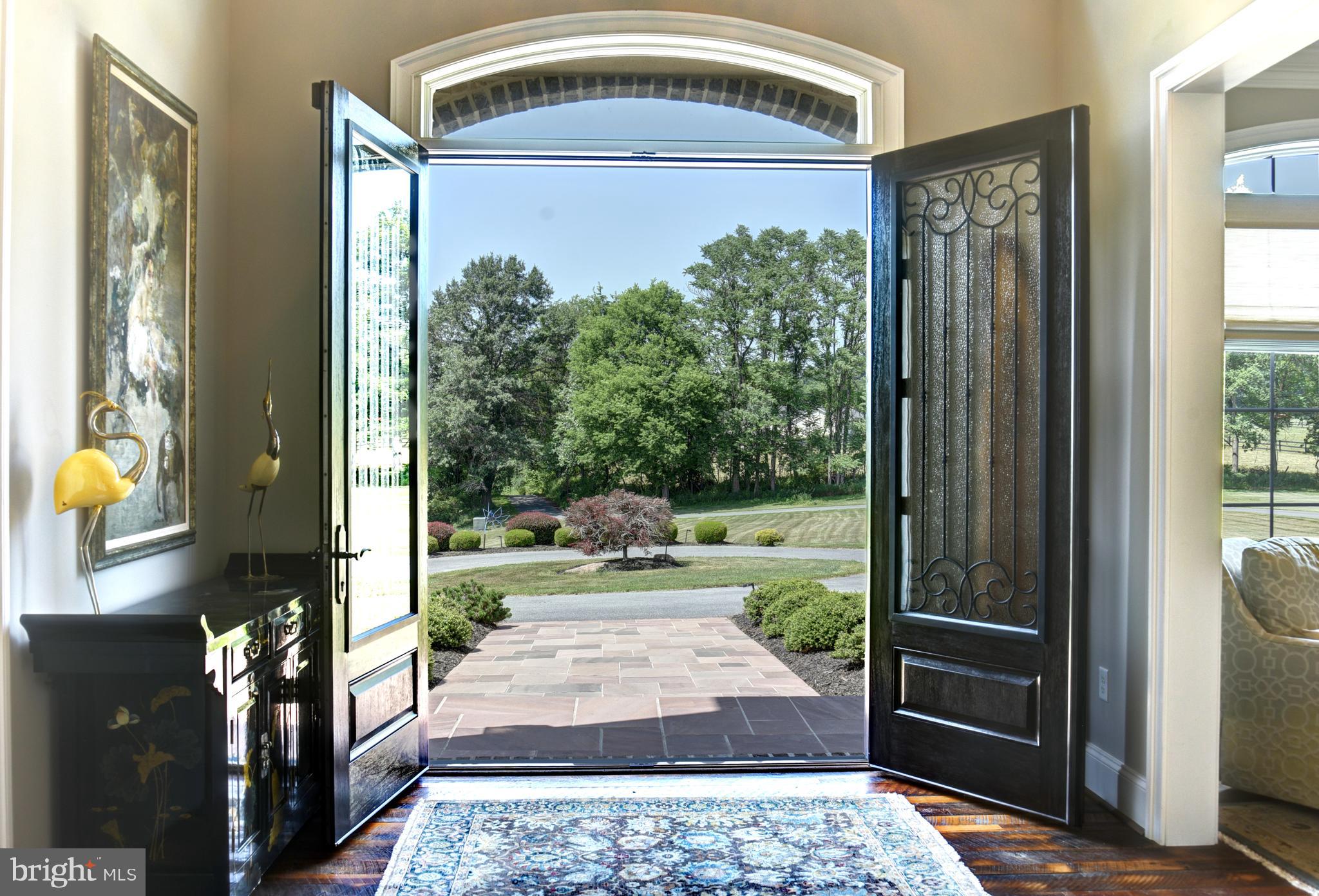 Tranquility Road Purcellville, VA 20132 - Photo 6 of 84 Dramatic Double Entry Doors with a View