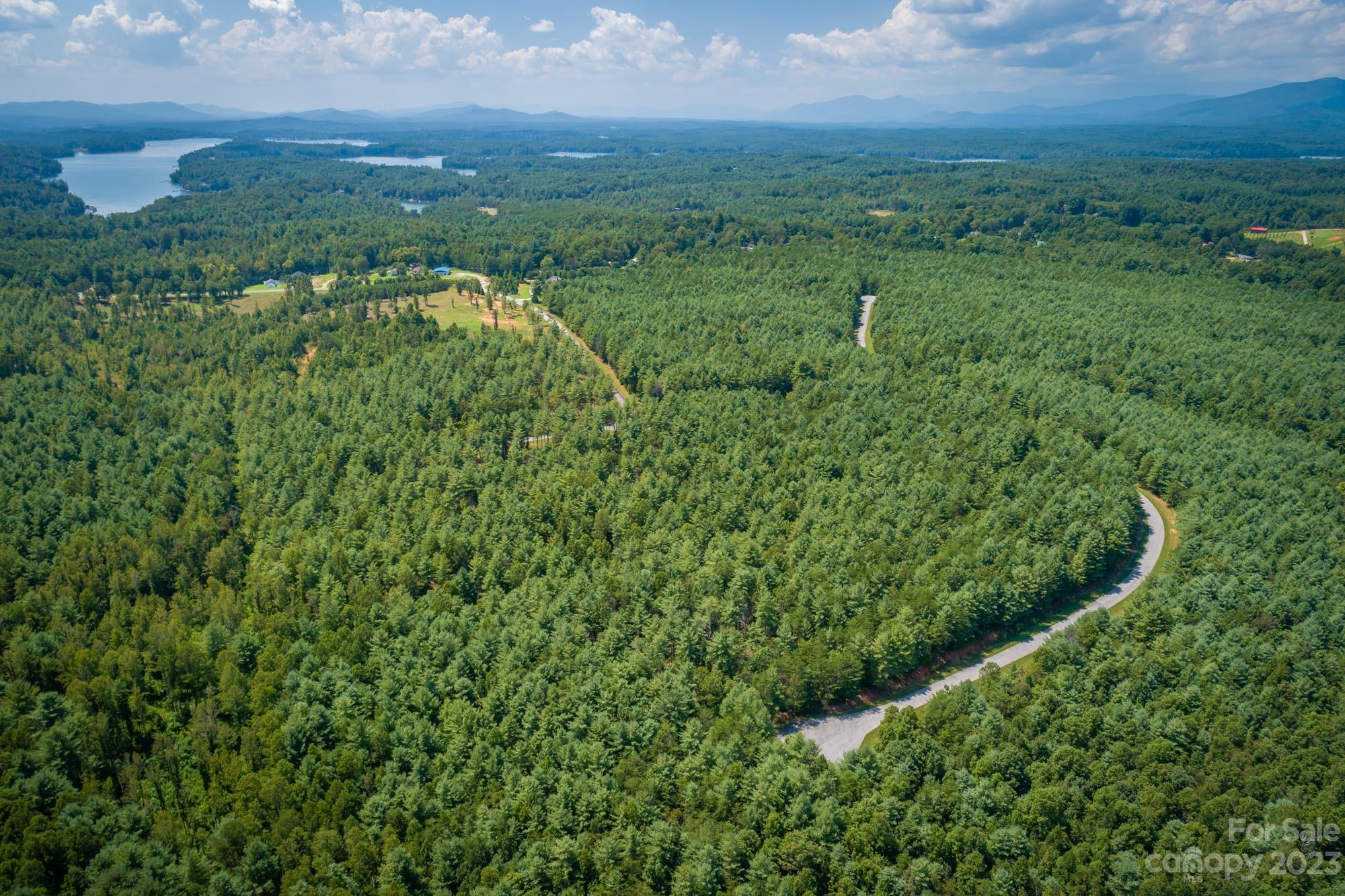 1101 Greene Court, Unit 35 Morganton, NC 28655 - Photo 3 of 6 a view of a green yard with large trees