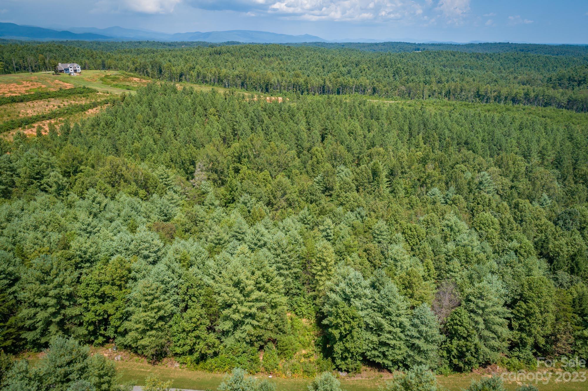1101 Greene Court, Unit 35 Morganton, NC 28655 - Photo 4 of 6 a view of a lush green field