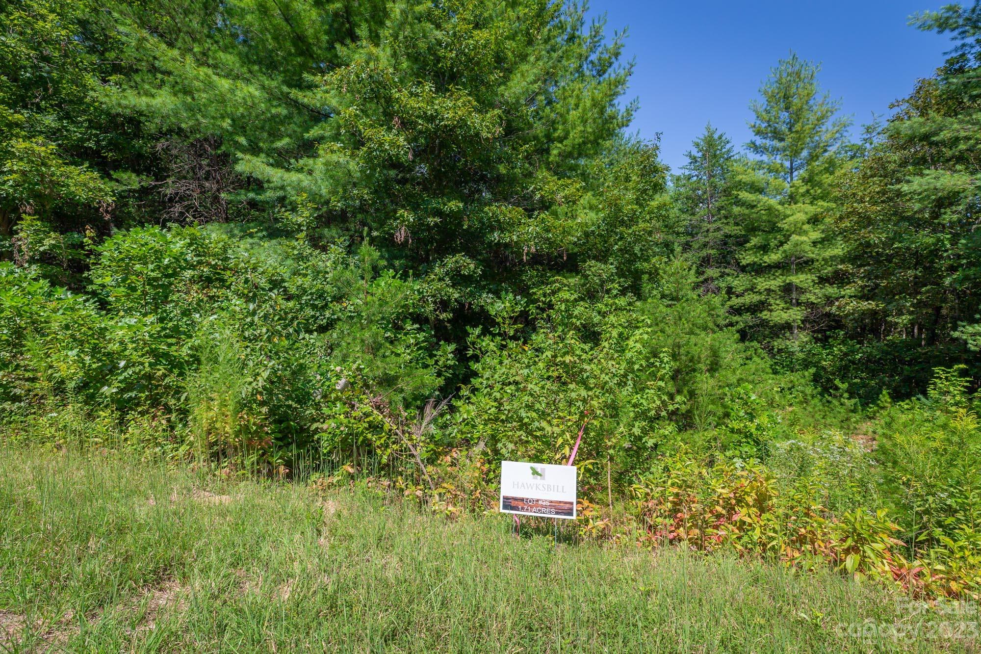 1101 Greene Court, Unit 35 Morganton, NC 28655 - Photo 5 of 6 a view of a house with a yard