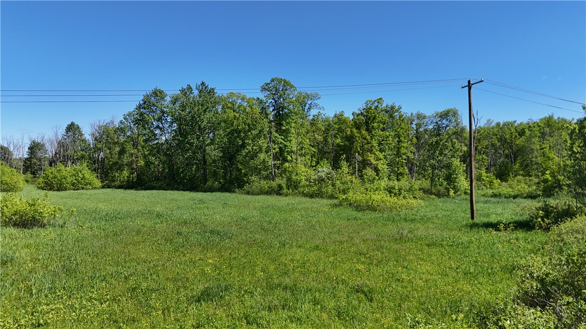 Dredge Ditch Road Conewango Valley, NY 14726 - Photo 9 of 21