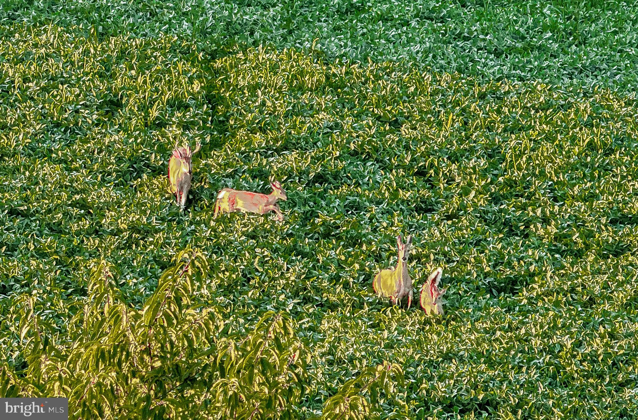 0 Herbst Road Red Lion, PA 17356 - Photo 11 of 16