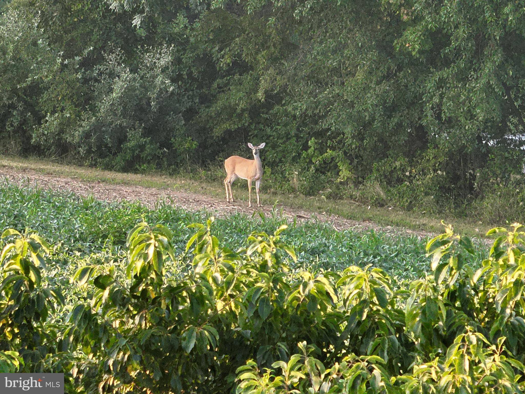 0 Herbst Road Red Lion, PA 17356 - Photo 12 of 16