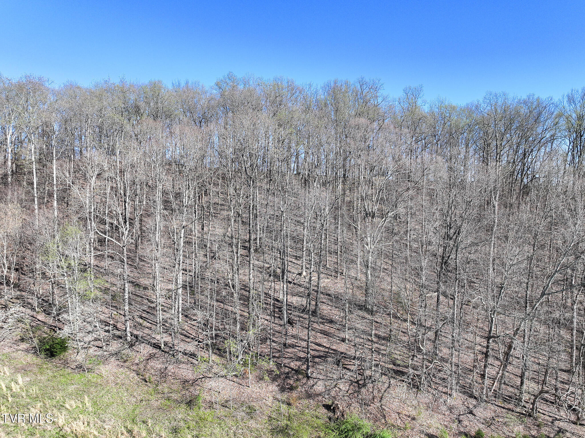 Lot 2 Morrison Road Chuckey, TN 37641 - Photo 12 of 19 12