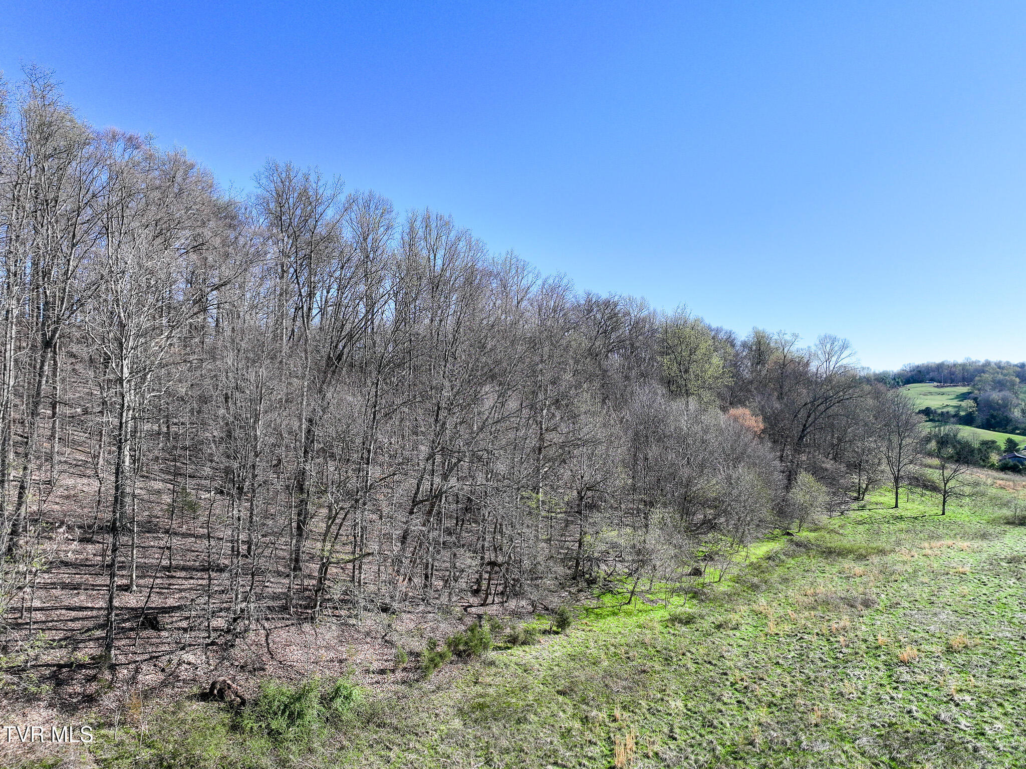 Lot 2 Morrison Road Chuckey, TN 37641 - Photo 13 of 19 13