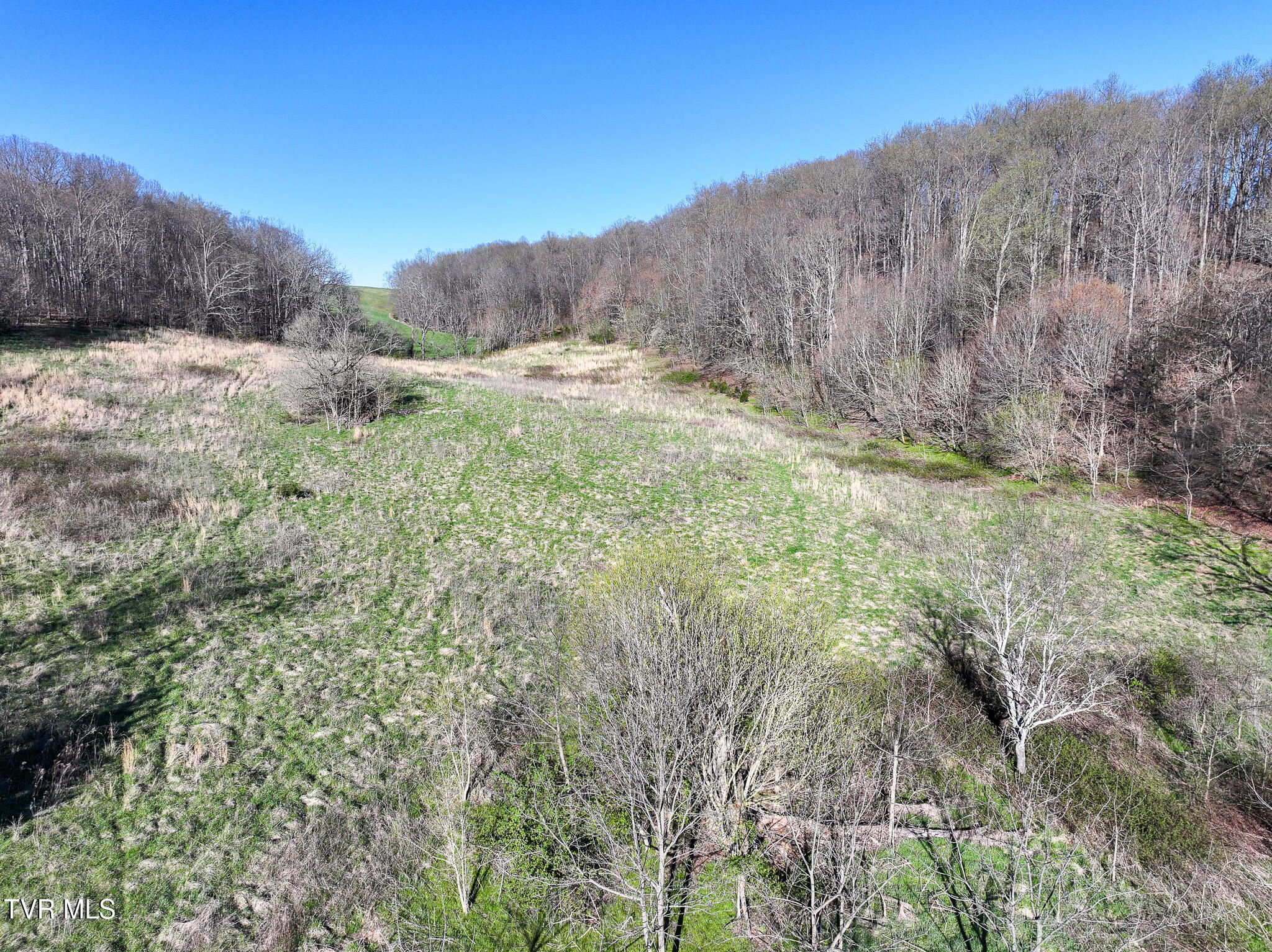 Lot 2 Morrison Road Chuckey, TN 37641 - Photo 2 of 19 2