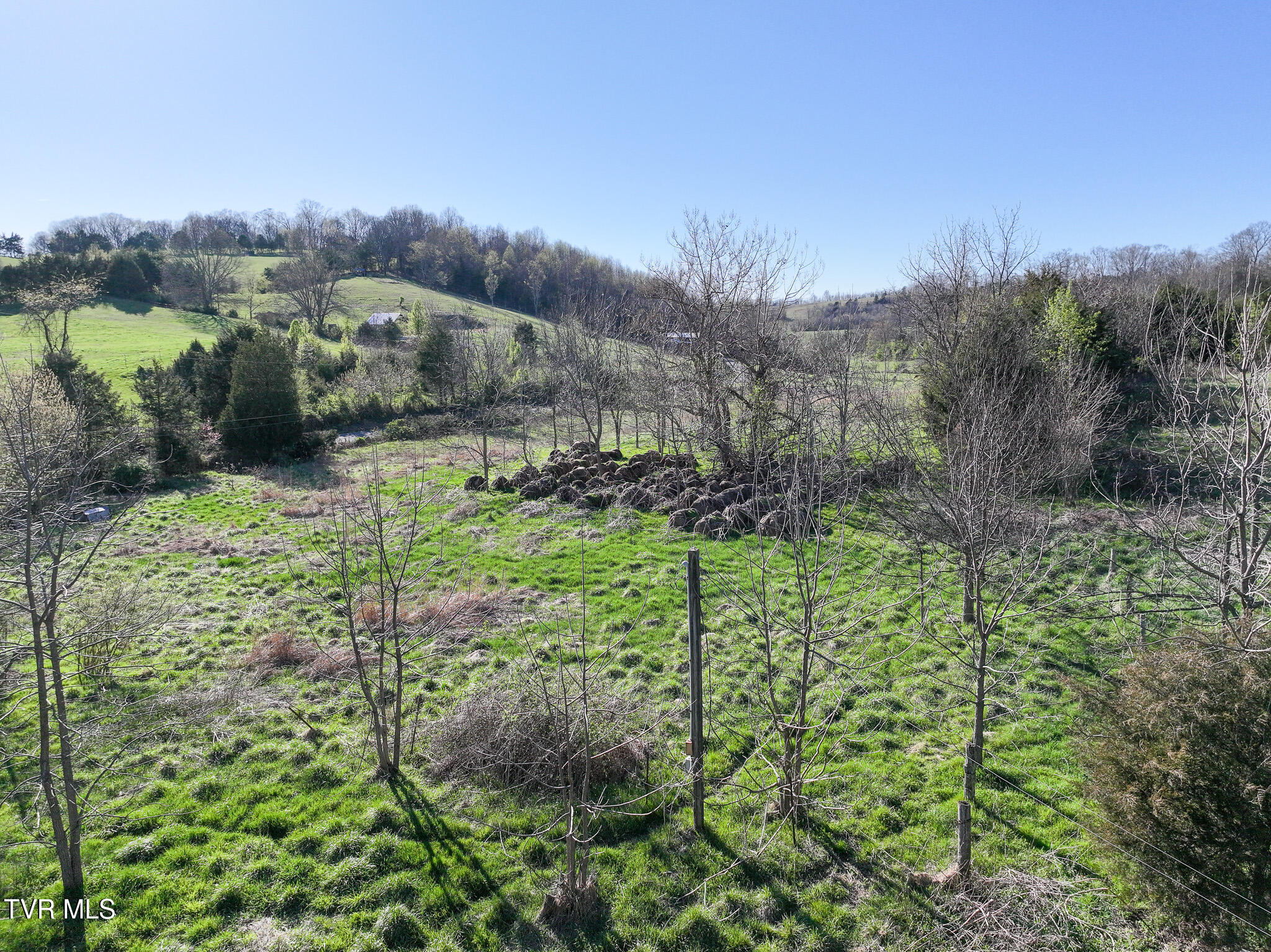 Lot 2 Morrison Road Chuckey, TN 37641 - Photo 6 of 19 6