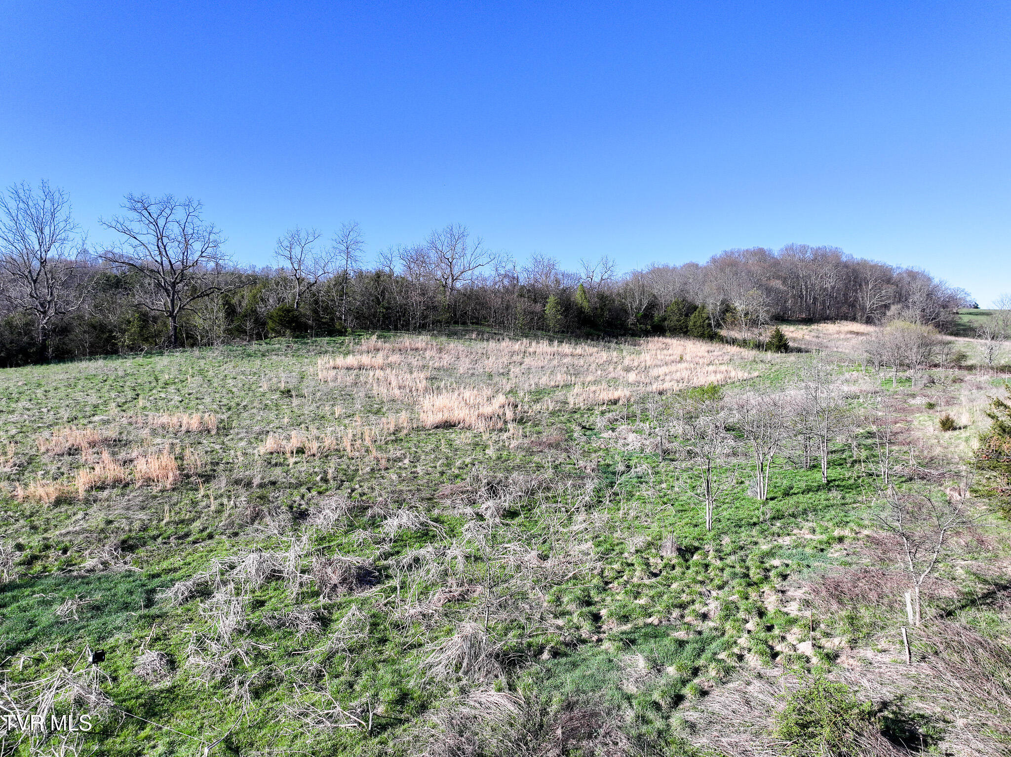 Lot 2 Morrison Road Chuckey, TN 37641 - Photo 7 of 19 7