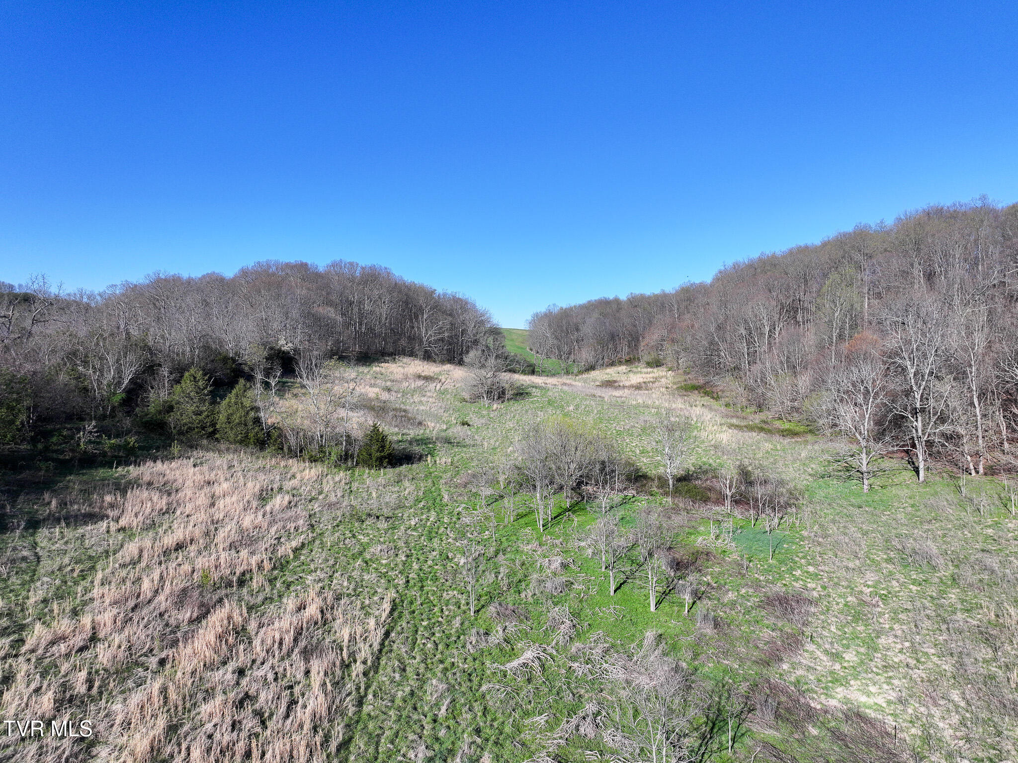 Lot 2 Morrison Road Chuckey, TN 37641 - Photo 8 of 19 8