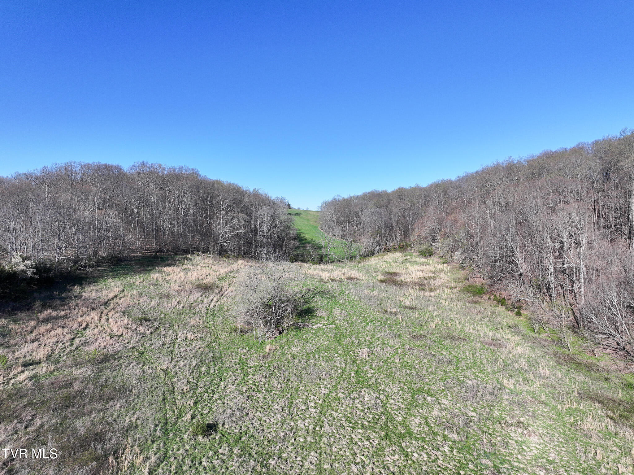 Lot 2 Morrison Road Chuckey, TN 37641 - Photo 10 of 19 10
