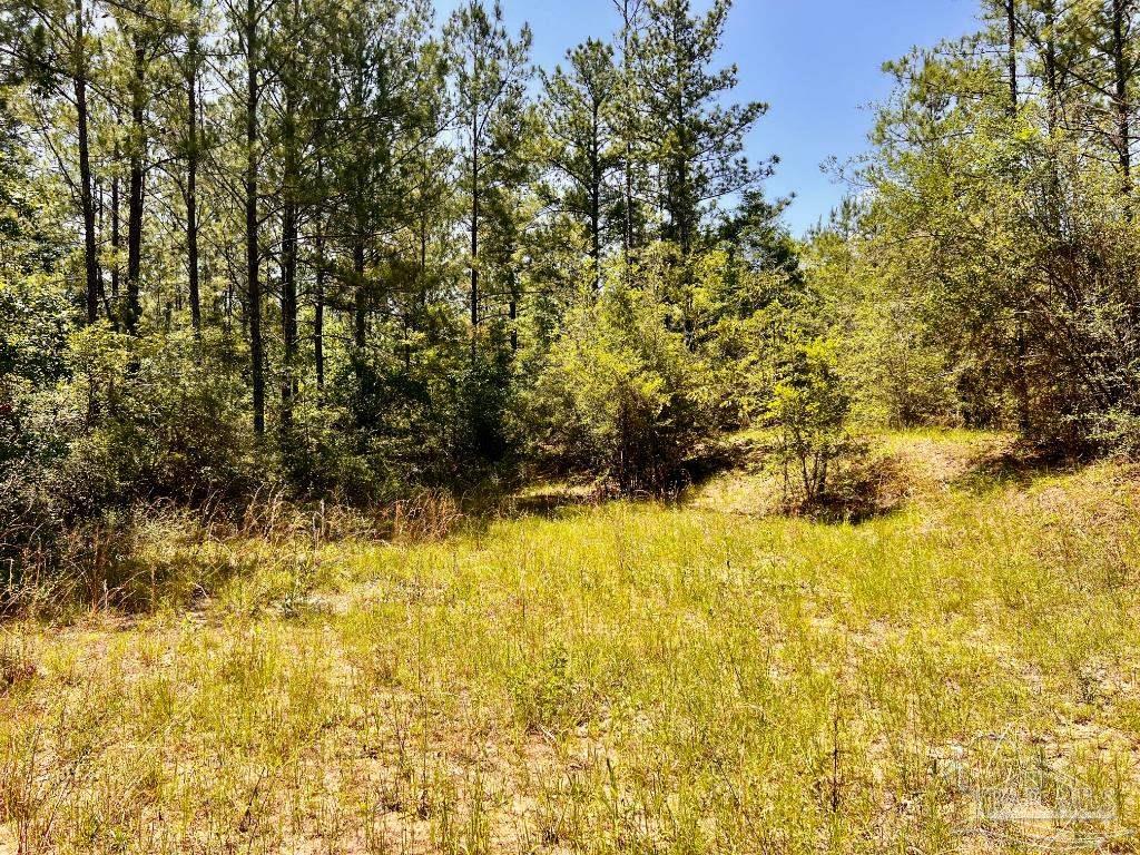 Lot 98 Turning Leaf Road Milton, FL 32571 - Photo 20 of 45 Gallery Image 20