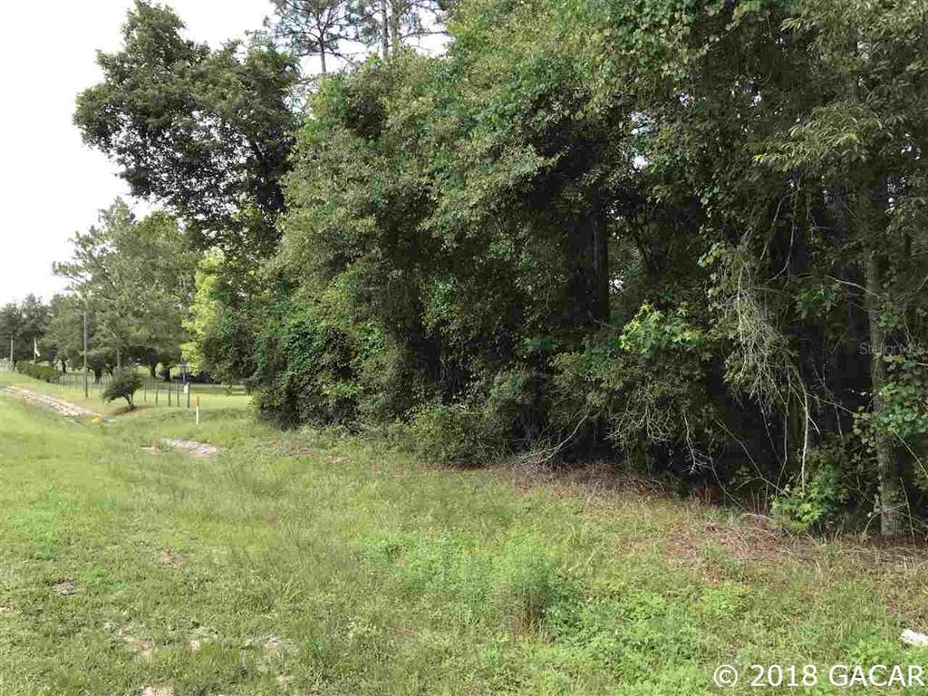1469 Northeast Earleton Hawthorne, FL 32640 - Photo 1 of 1 Gallery Image 1