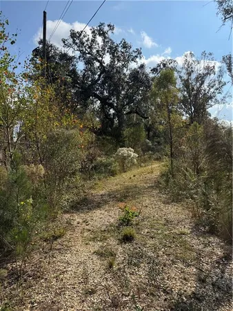 $109,935 | Tbd Patterson Road, Springfield, LA 70462