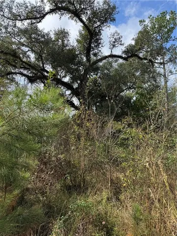 $126,000 | Tbd Patterson Road, Springfield, LA 70462