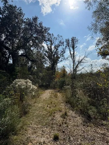 $126,000 | Tbd Patterson Road, Springfield, LA 70462