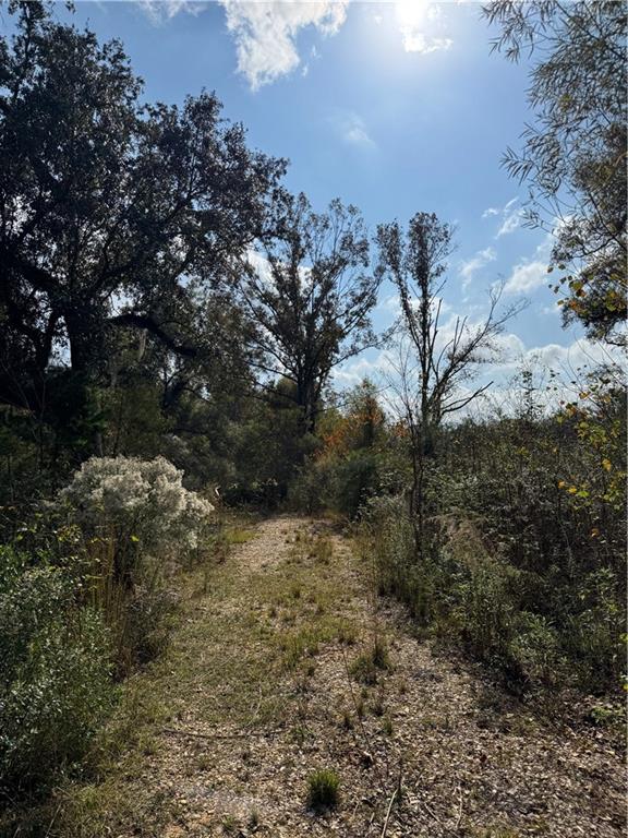 Tbd Patterson Road Springfield, LA 70462 - Photo 5 of 15