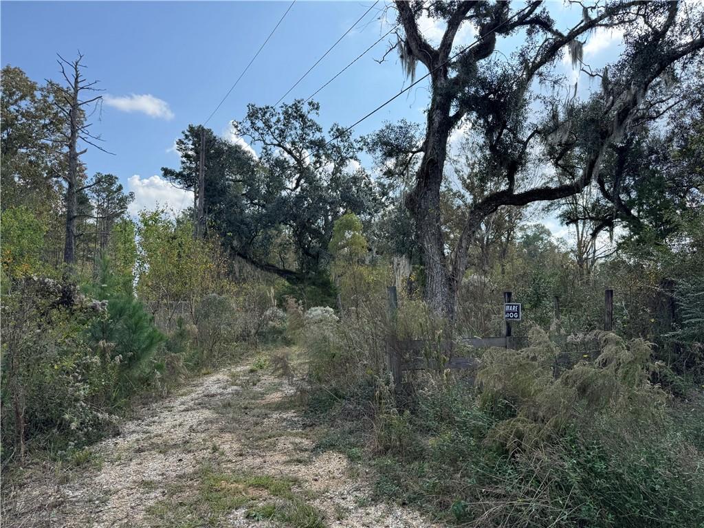 Tbd Patterson Road Springfield, LA 70462 - Photo 6 of 14