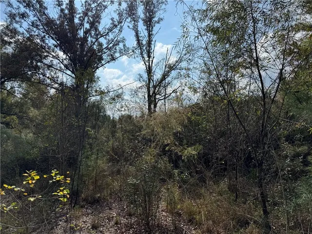 $126,000 | Tbd Patterson Road, Springfield, LA 70462