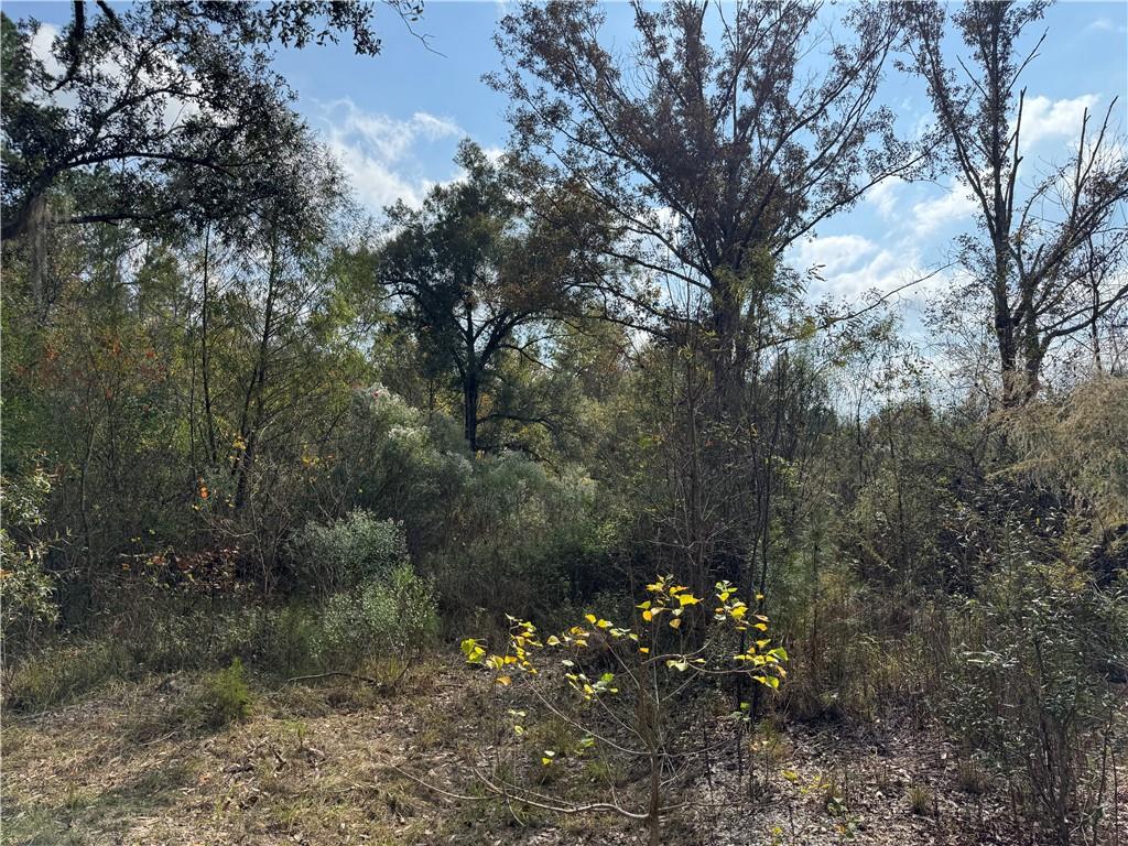 Tbd Patterson Road Springfield, LA 70462 - Photo 9 of 15