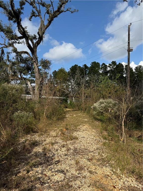 Tbd Patterson Road Springfield, LA 70462 - Photo 10 of 14
