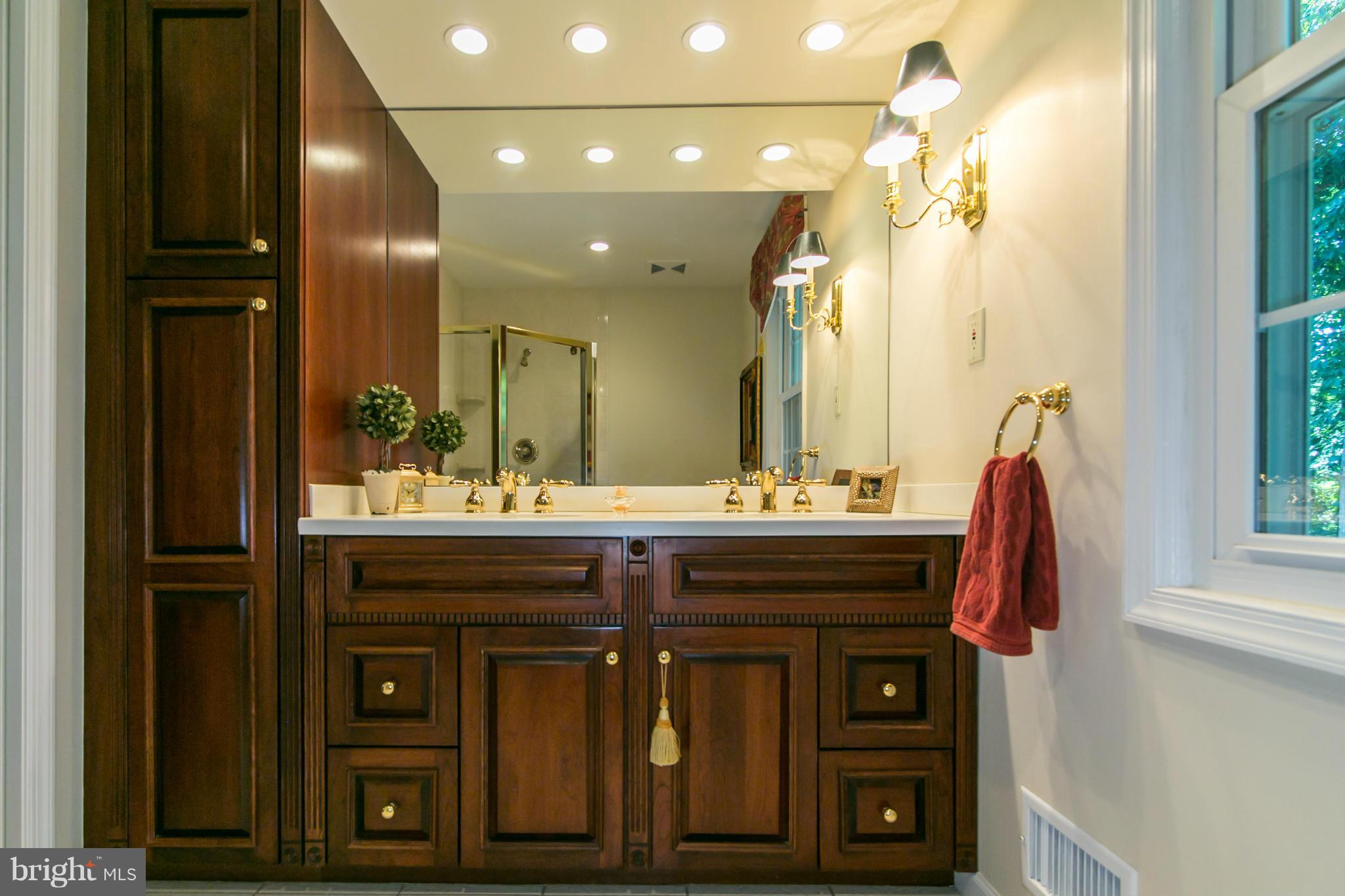 12003 Trotter Lane Reston, VA 20191 - Photo 19 of 30 Beautiful cabinetry, two sinks and a Kohler shower