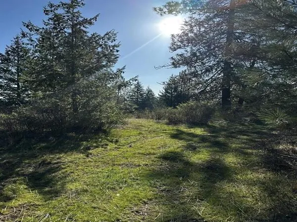 $185,000 | Tbd Tbd Waldrons Lane, Chattaroy, WA 99003