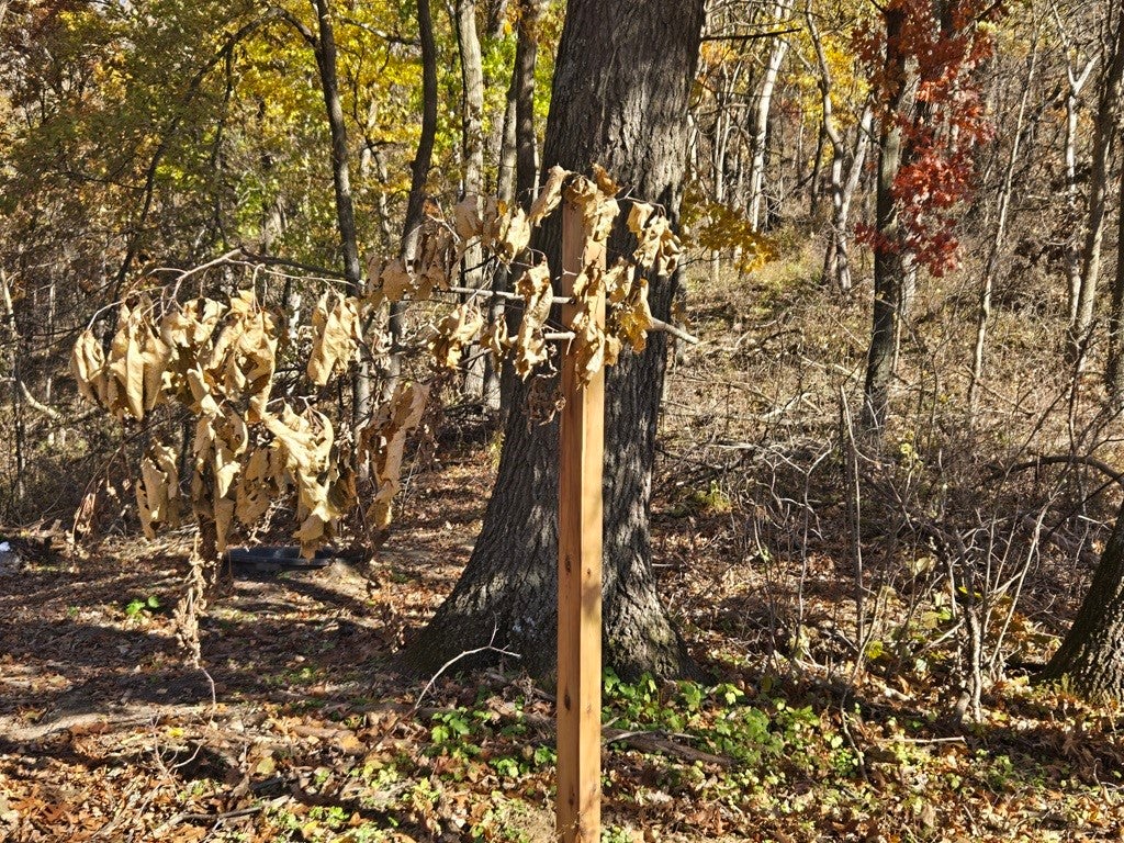 0 County Kk Alma, WI 54610 - Photo 27 of 59 Gallery Image 27