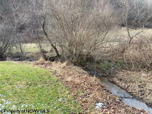 347 Red Hawk Road Wallace, WV 26448 - Photo 4 of 22 Gallery Image 4