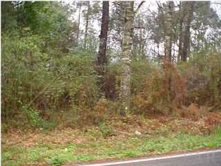 8 East Quintette Road Cantonment, FL 32533 - Photo 1 of 1 Gallery Image 1