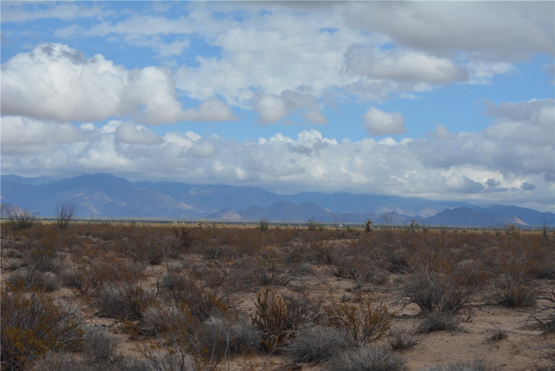 207-35-005 South Arlington Road Yucca, AZ 86438 - Photo 44 of 92