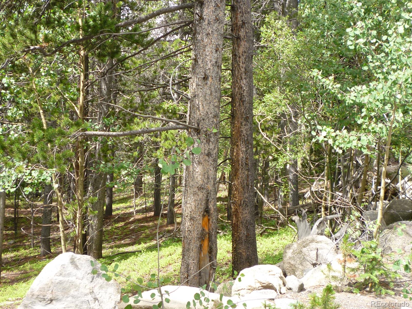 Rainbow Road Idaho Springs, CO 80452 - Photo 1 of 1 Gallery Image 1