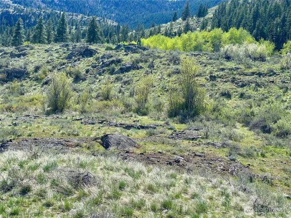 $429,000 | 2 X Alder Road, Twisp, WA 98856