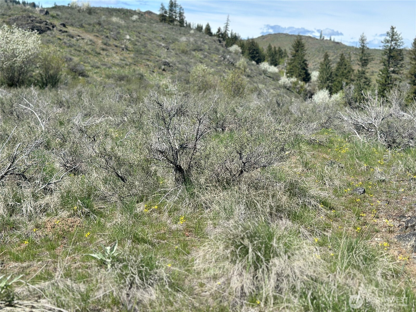 2 X Alder Road Twisp, WA 98856 - Photo 15 of 38